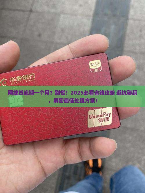 网捷贷逾期一个月了应该怎么处理