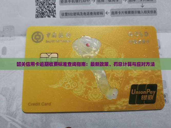 韶关信用卡逾期收费标准查询指南
