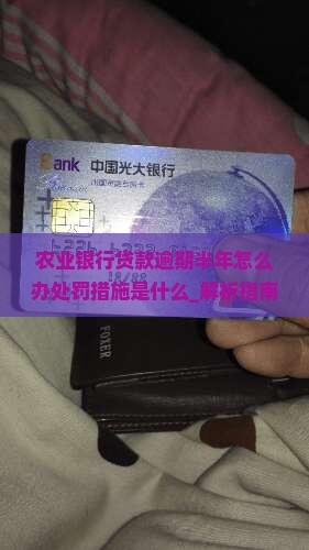 农业银行贷款逾期半年怎么办处罚措施是什么