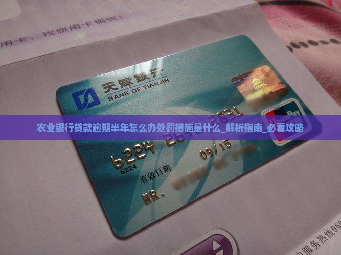 农业银行贷款逾期半年怎么办处罚措施是什么
