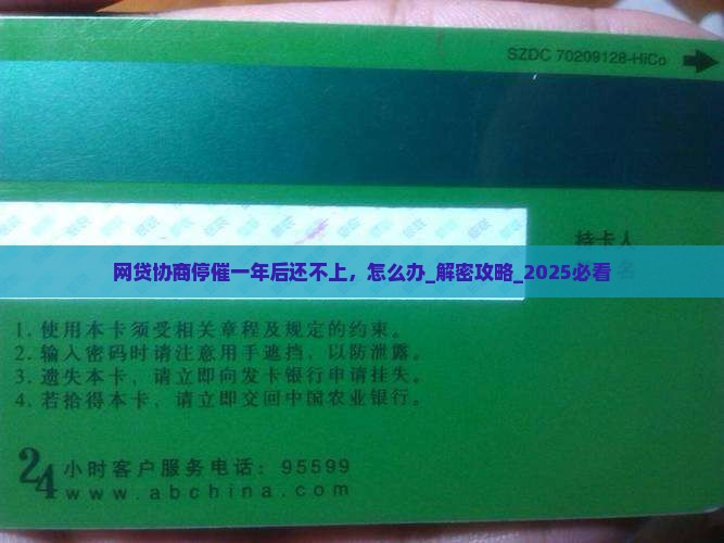网贷协商停催一年后还不上应该怎么处理