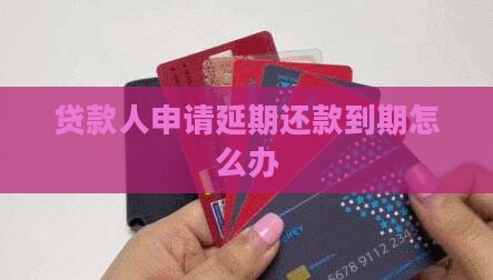 贷款人申请延期还款怎么办
