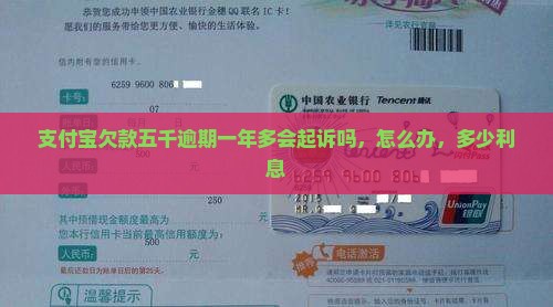 支付宝欠款五千逾期一年多