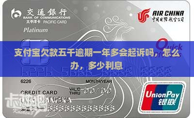 支付宝欠款五千逾期一年多