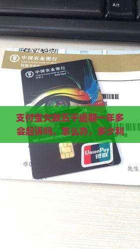 支付宝欠款五千逾期一年多