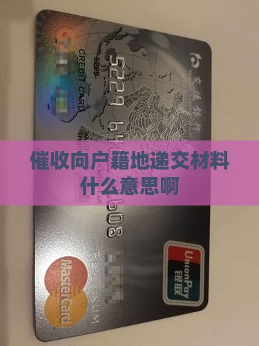催收向户籍地递交材料什么意思