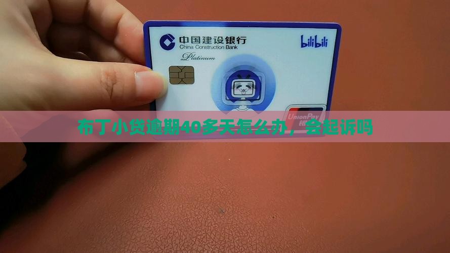 布丁小贷逾期40多天