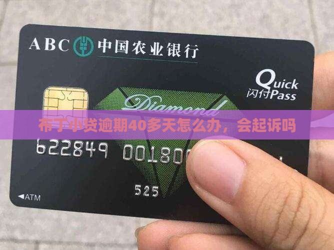 布丁小贷逾期40多天