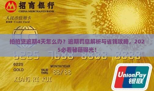 拍拍贷逾期了4天怎么办