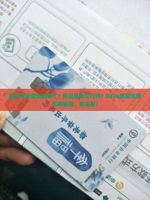 银行的消费贷逾期申请停息挂账可以吗