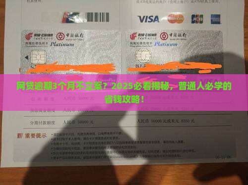 网贷逾期为什么不立案