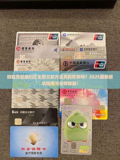 微粒贷逾期归还全部欠款方法与注意事项