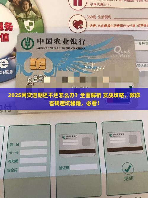 网贷逾期还不还怎么办