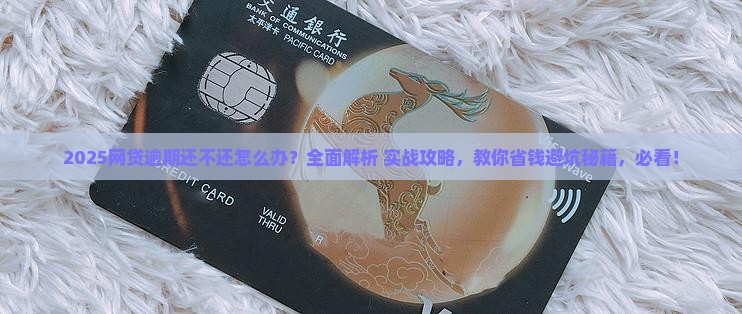 网贷逾期还不还怎么办