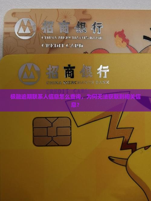 极融逾期联系人信息怎么查询