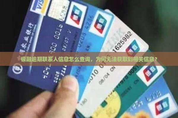 极融逾期联系人信息怎么查询