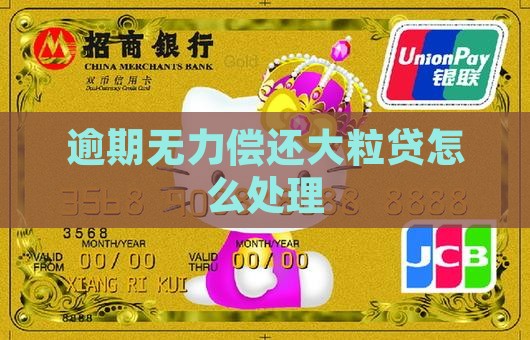 大粒贷逾期无力偿还怎么办