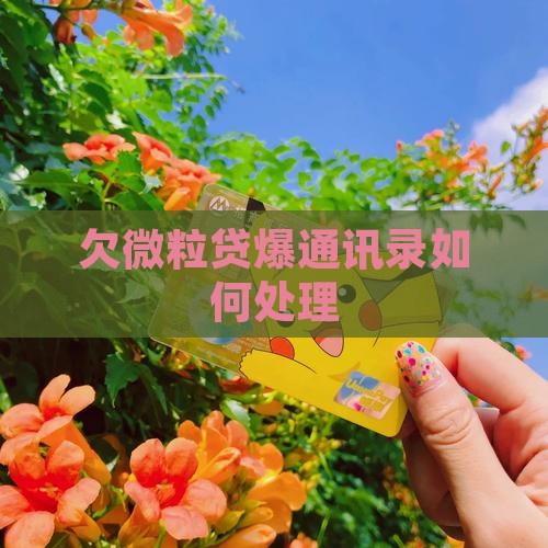 欠微粒贷爆通讯录如何处理