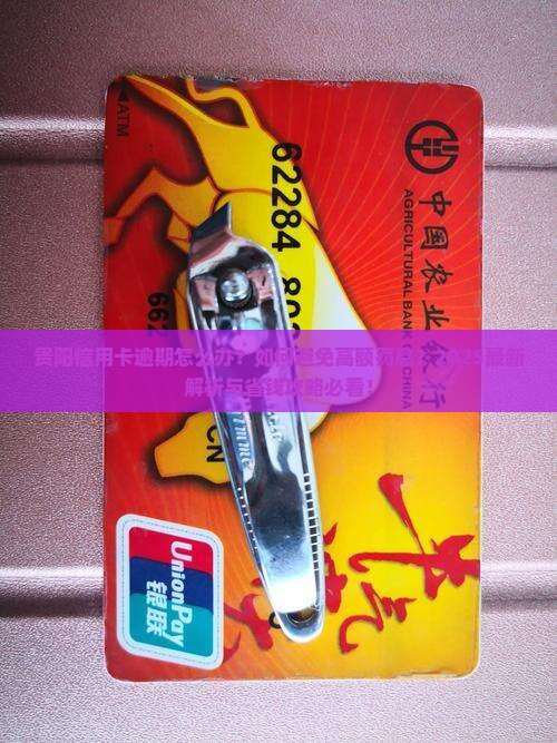 被贵阳信用卡逾期怎么处理