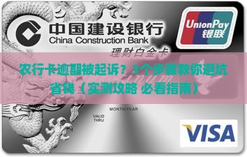 农行卡逾期起诉流程