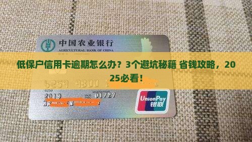 低保户信用卡逾期会怎么样处理
