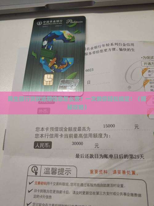 民生银行贷款逾期信息怎么查询
