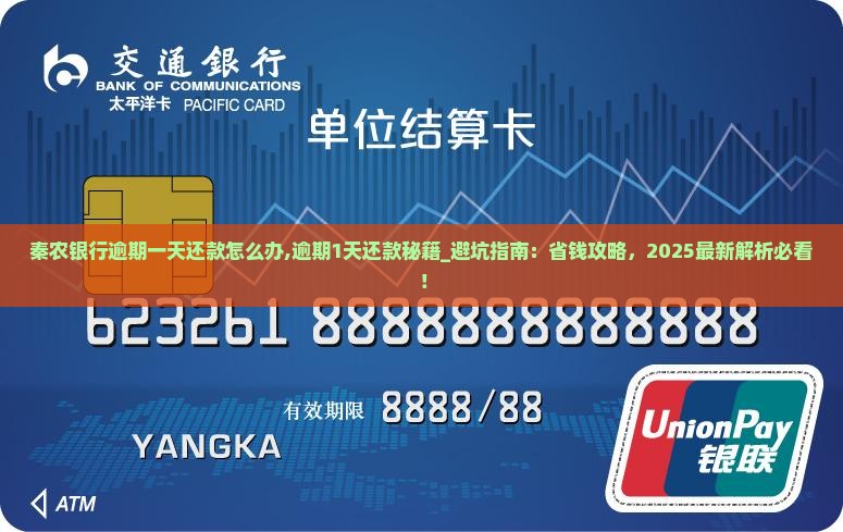 秦农银行逾期一天还款怎么办