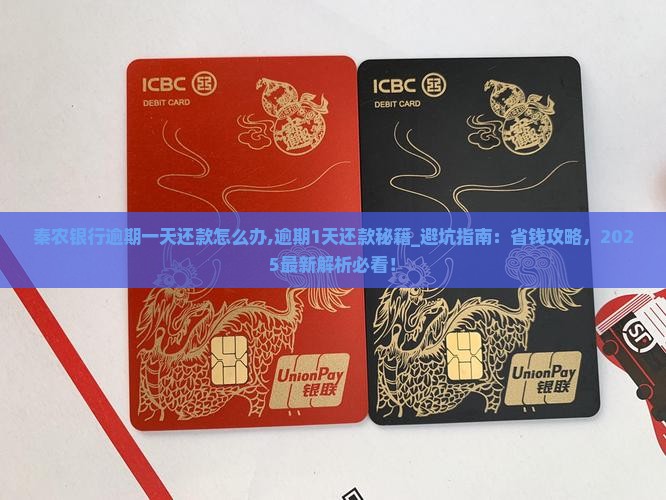 秦农银行逾期一天还款怎么办