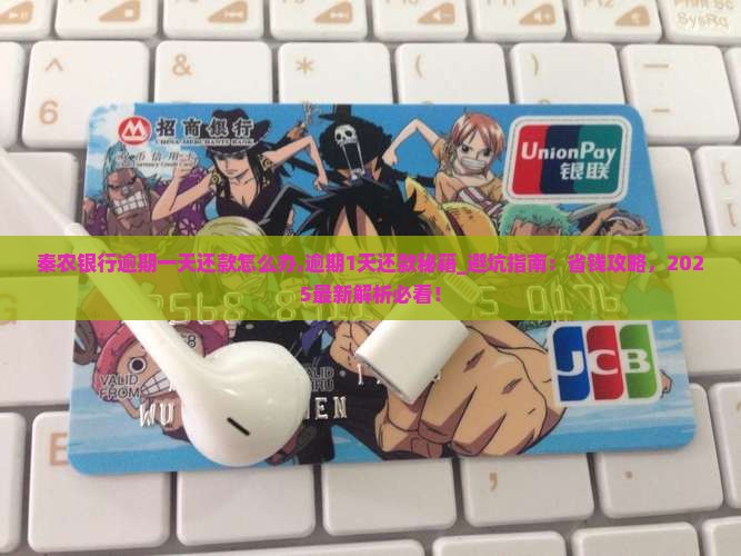 秦农银行逾期一天还款怎么办