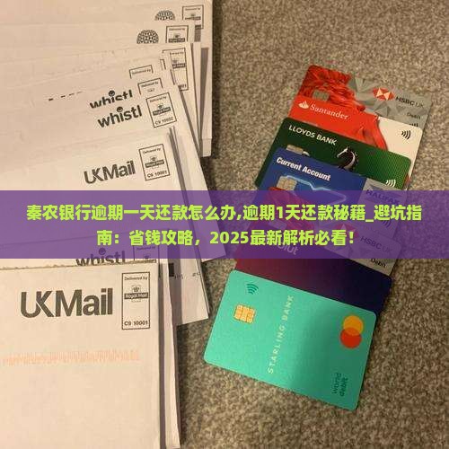 秦农银行逾期一天还款怎么办