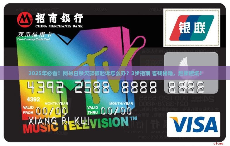 网易白条欠款起诉流程