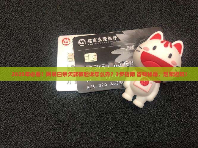 网易白条欠款起诉流程