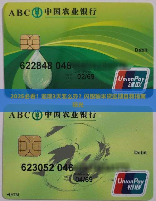 闪银糯米贷瞬瞬逾期如何解决