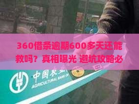360借条逾期600多天如何处理