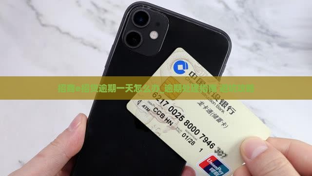 招商e招贷逾期一天怎么办