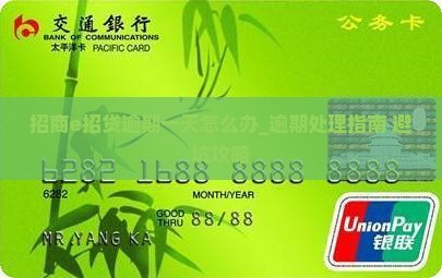 招商e招贷逾期一天怎么办