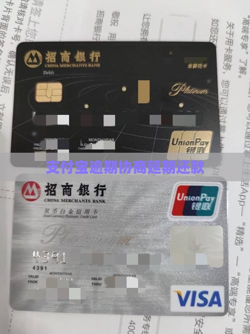 支付宝催收协商延期还款