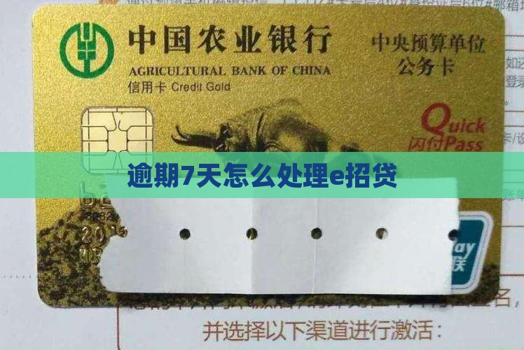 e招贷逾期7天应该怎么处理