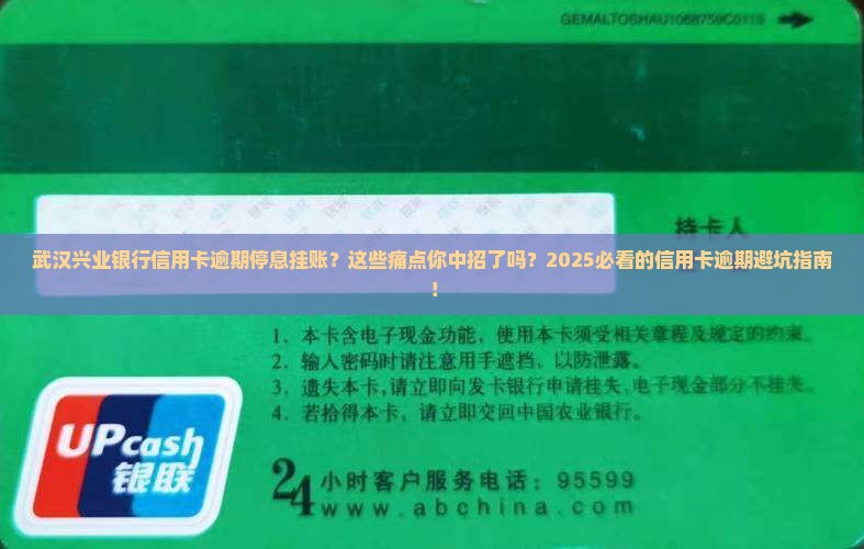 武汉兴业银行信用卡逾期停息挂账