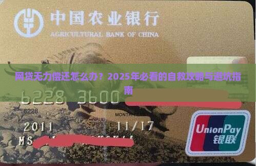 网贷无力偿还办法有哪些措施解决