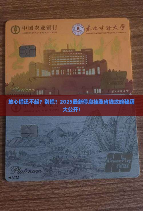 放心借如何协商停息挂账还款