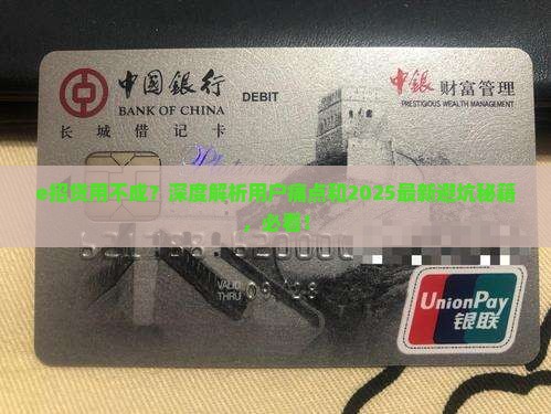e招贷用不成