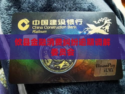 攸县消费金融纠纷调解委员