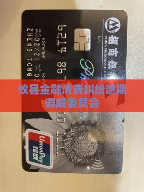 攸县消费金融纠纷调解委员