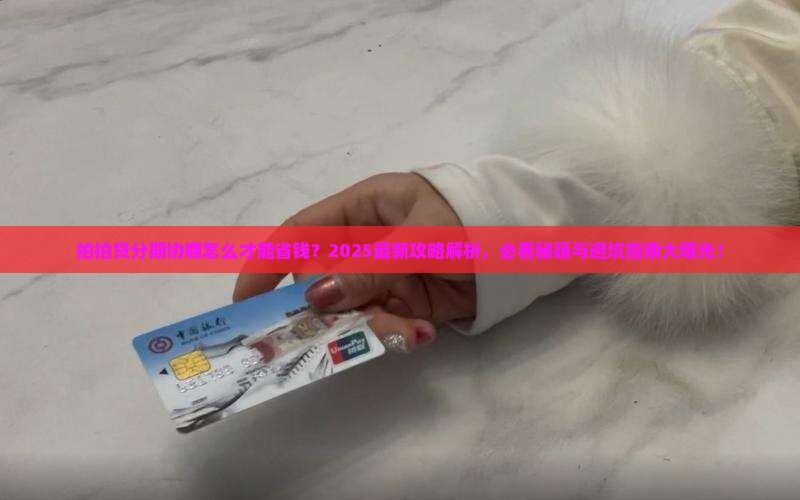 拍拍贷分期协商攻略