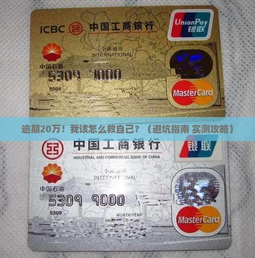 支付宝逾期20万的后果应该如何应对