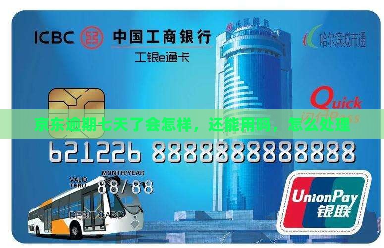 京东白条逾期七天了