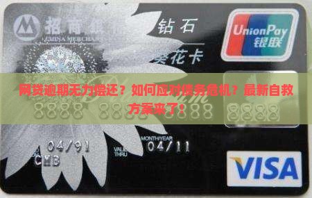 网贷逾期无力偿还解决方案