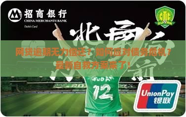 网贷逾期无力偿还解决方案