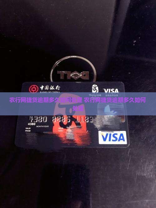 农行网捷贷逾期多久如何处理